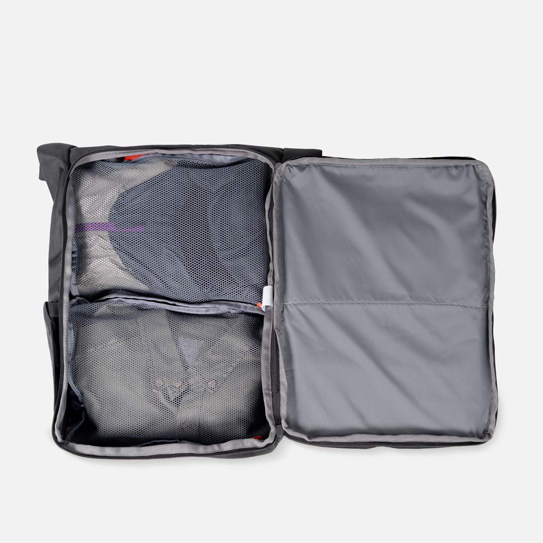 24L Dapa - Image 7