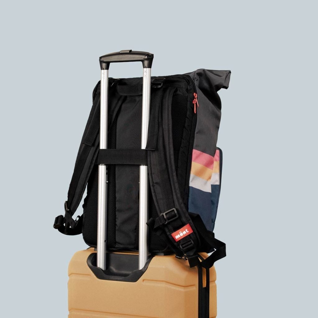 30L Fox - Image 4