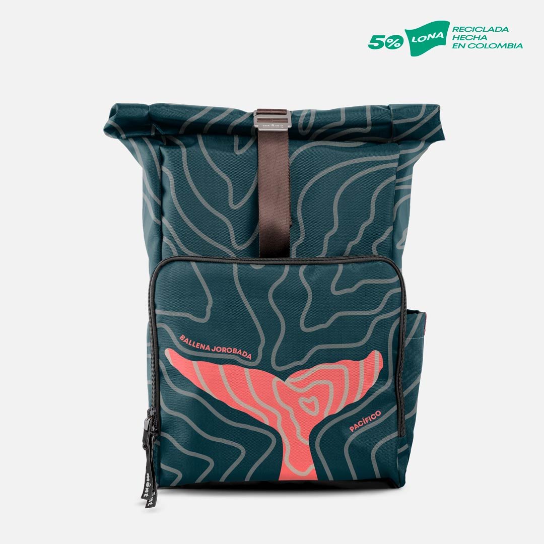 30L Whale - Image 2