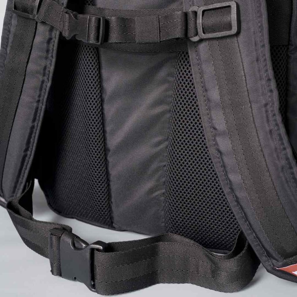 30L Fox - Image 7